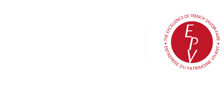 light logo